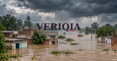Illustration of flooded homes and a rescue boat under storm clouds, with centered VERIQIA watermark