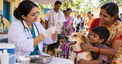 Veterinarian preparing a dog vaccination at a community clinic