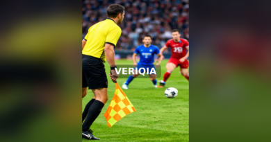 Football assistant referee holding a flag near the touchline during play