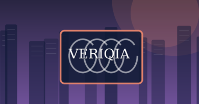 Original conceptual editorial illustration about IPO process explained, with a centered VERIQIA watermark
