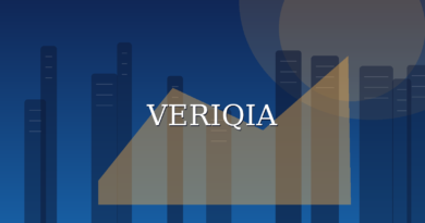 Original conceptual editorial illustration about company annual report explained, with a centered VERIQIA watermark