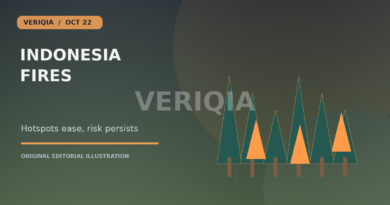 Original editorial illustration showing trees and wildfire flames under a smoky sky for Indonesia Says Fire Hotspots Ease but Dry Conditions Keep Risk High, with a centered VERIQIA watermark