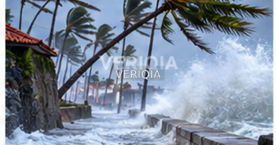 Tropical coastline battered by heavy rain and waves representing flood risks, with centered VERIQIA watermark.