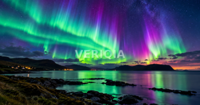 Green, teal and purple northern lights sweeping over a dark coastal inlet with reflections on the water and a centered VERIQIA watermark.