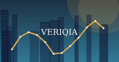 Original conceptual editorial illustration about PE ratio explained, with a centered VERIQIA watermark