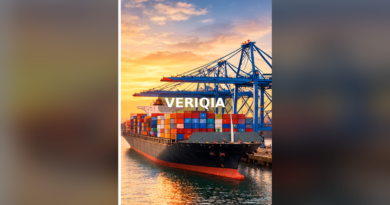 Container ship and cranes at a sunlit international shipping port