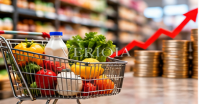 Groceries in shopping cart with rising financial chart, colourful landscape editorial photograph with subtle centered VERIQIA watermark