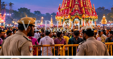 Editorial illustration showing festival crowd management; VERIQIA watermark