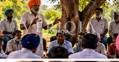 Editorial illustration showing public civic gathering; VERIQIA watermark