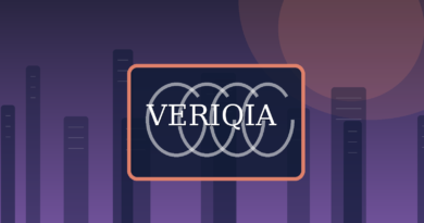 Original conceptual editorial illustration about joint venture explained, with a centered VERIQIA watermark